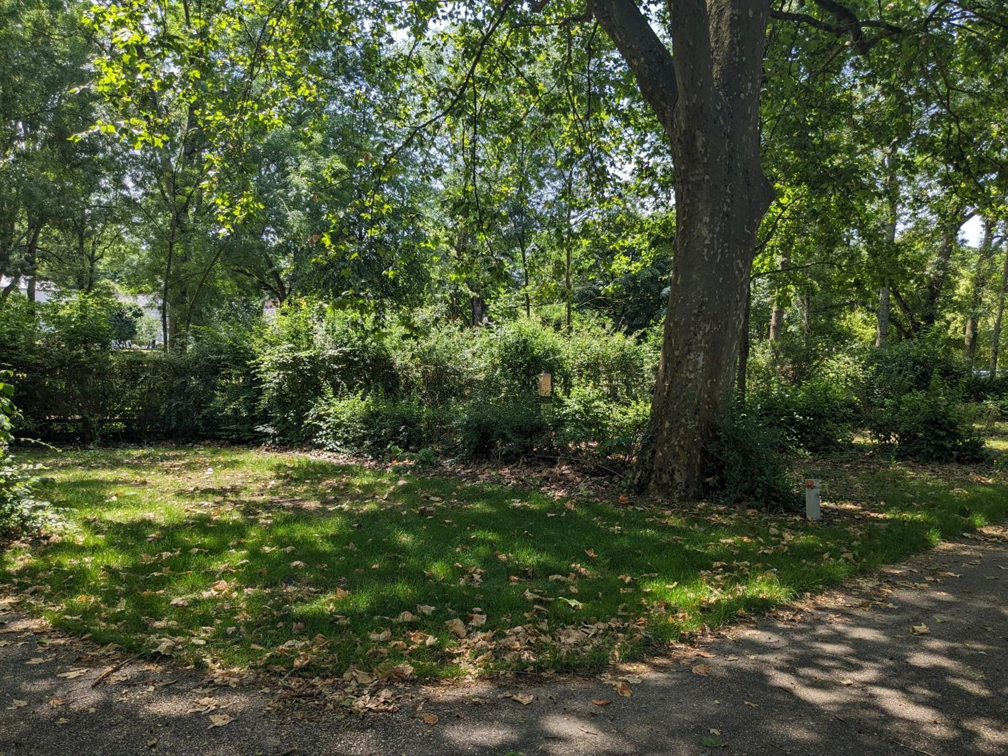 Camping Onlycamp La Confluence Savonnieres Bagian luar foto
